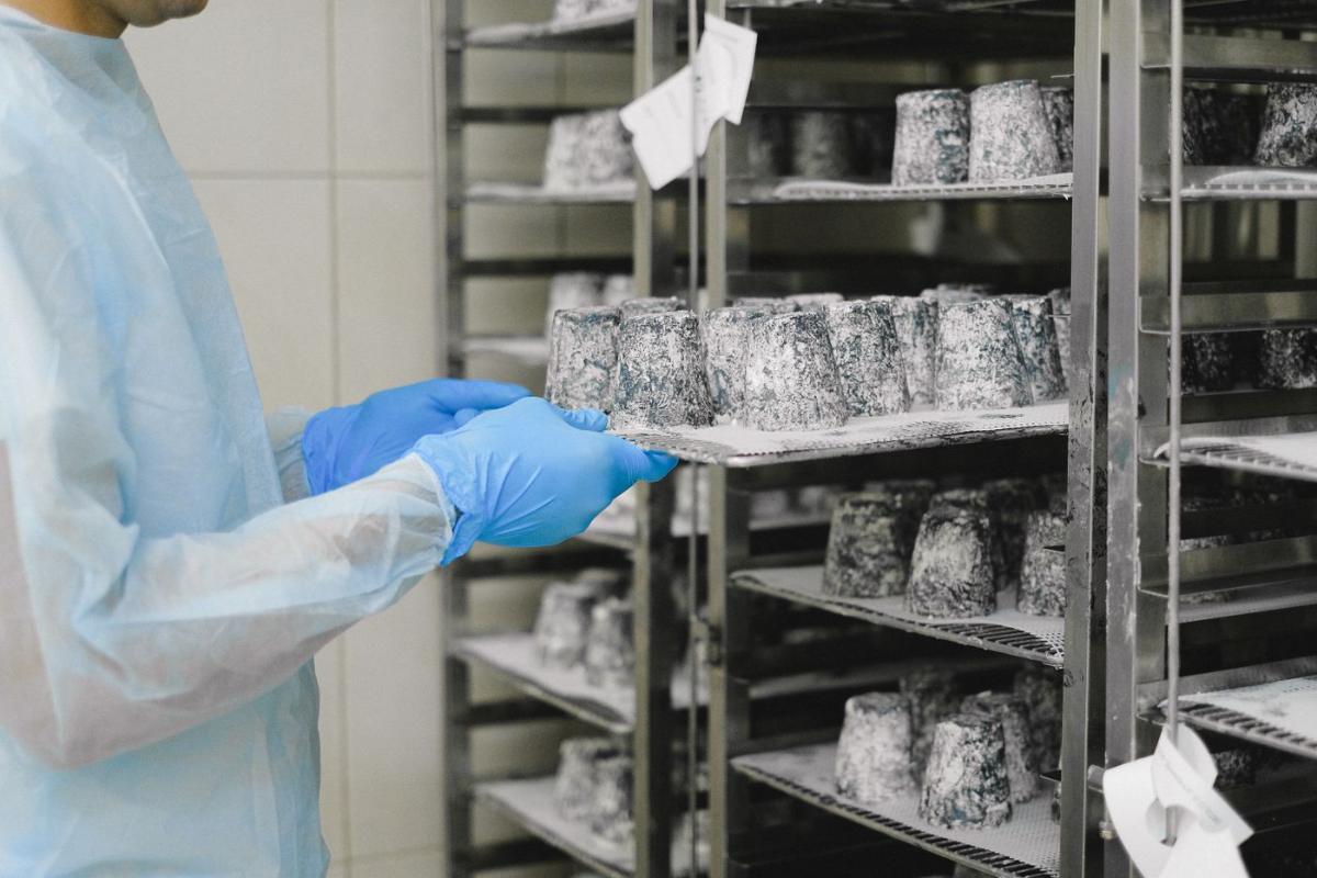Technician handling product in a controlled aging room