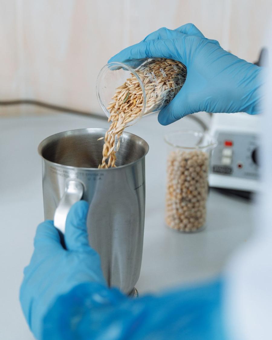 Gloved hands pouring a dry sample into a steel container